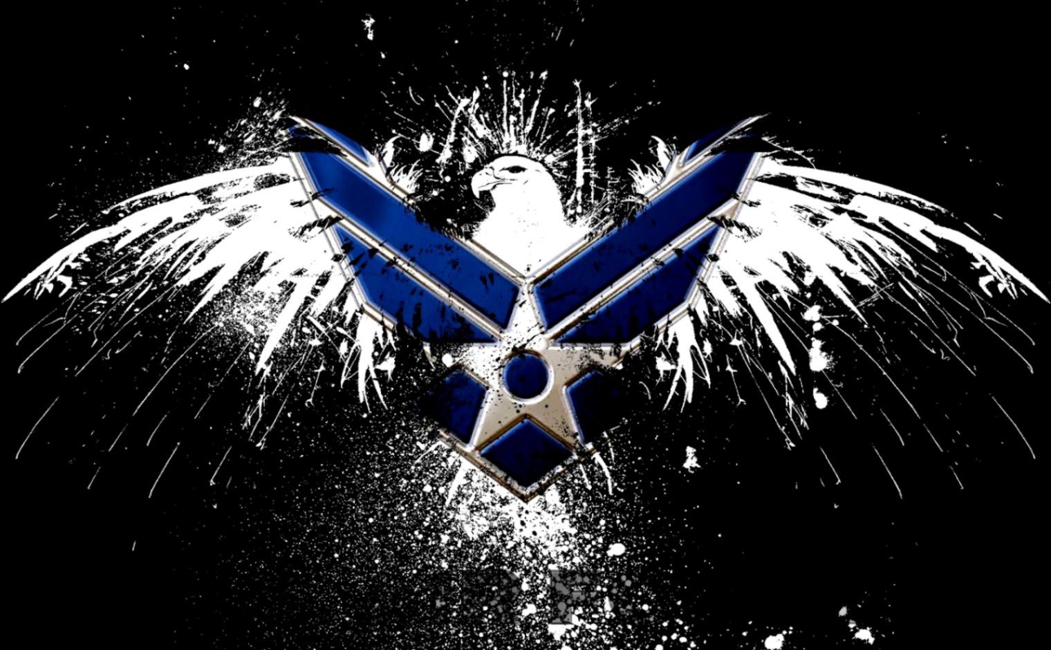 Navy Air Force Logo Navy Air Force Logo