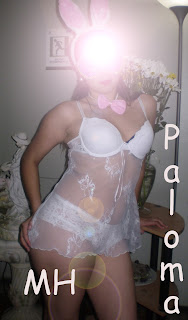Paloma2.jpg
