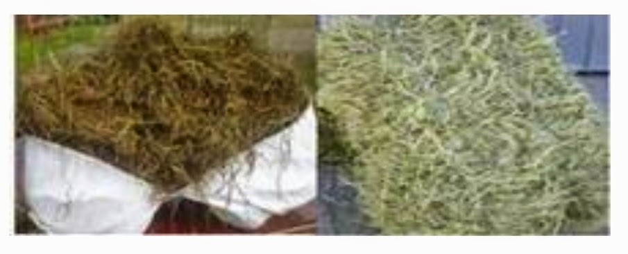 ensilage till häst ensilage till häst