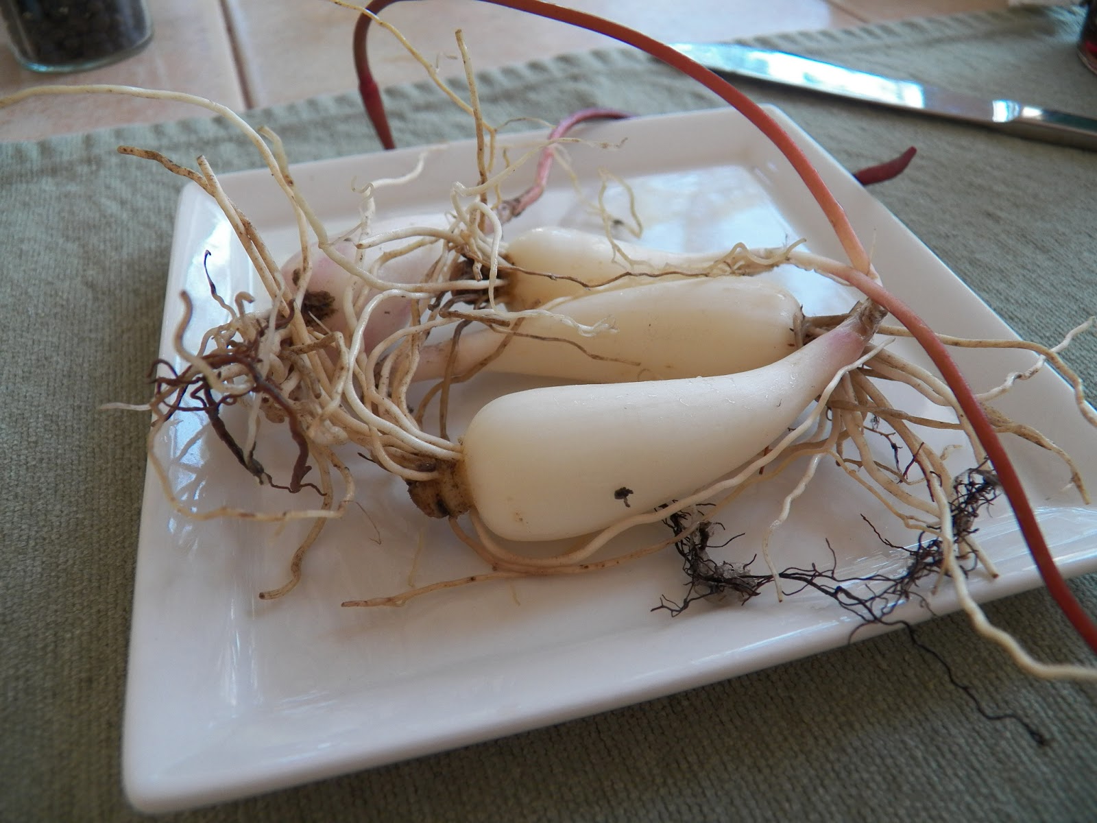 Ramps Sid's cooking again...