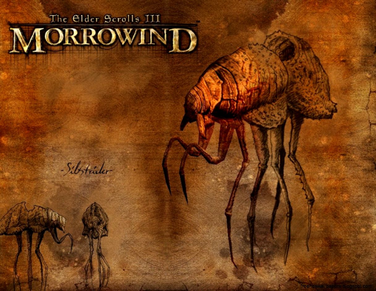 Morrowind Wallpapers Download Morrowind Wallpapers Morrowind Morrowind Wallpapers Download Morrowind Wallpapers Morrowind