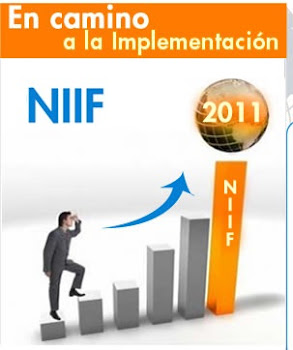 NIIF´s PYMES