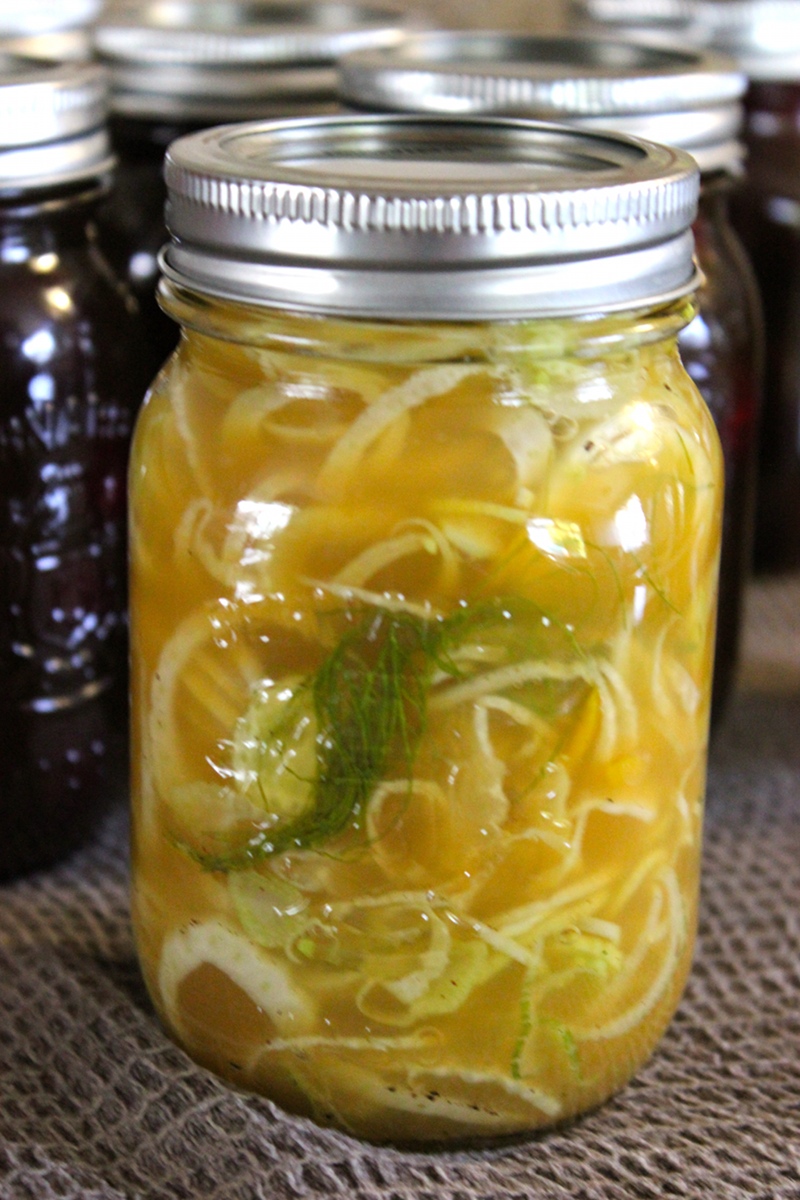 Taste Buds Pickled Fennel with Orange