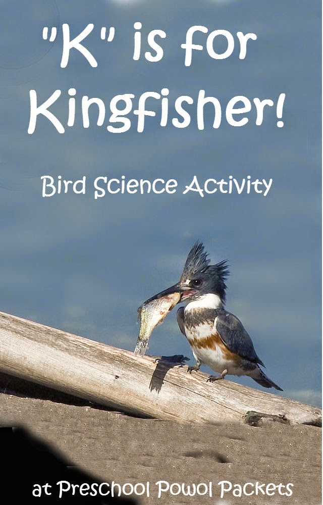 K is for Kingfisher Science Fun Preschool Powol Packets