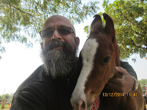 A "Selfie" with a 15 day old foal.
