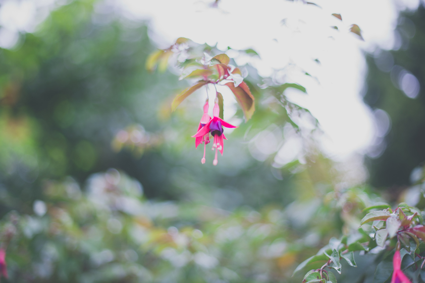 ©estermiriamfotografia