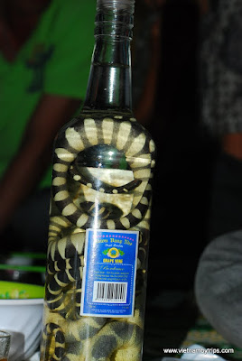 Buon ma Thuot trip - snake wine