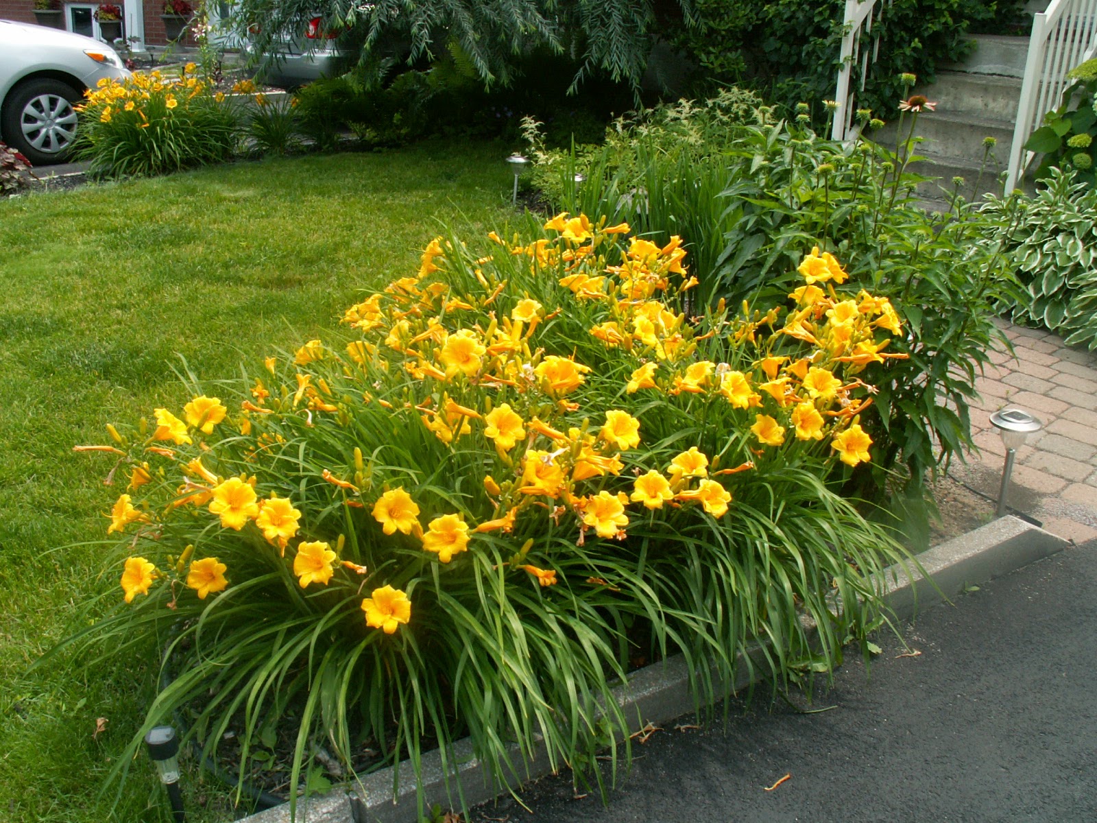 souper rencontre mont laurier