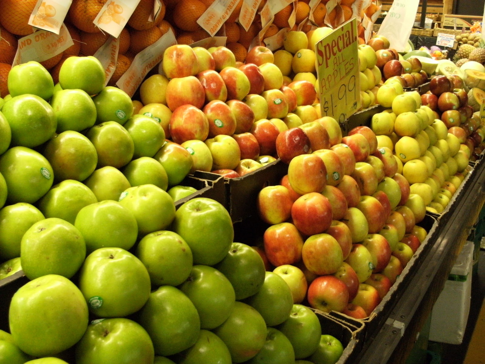 Foods Of Australia