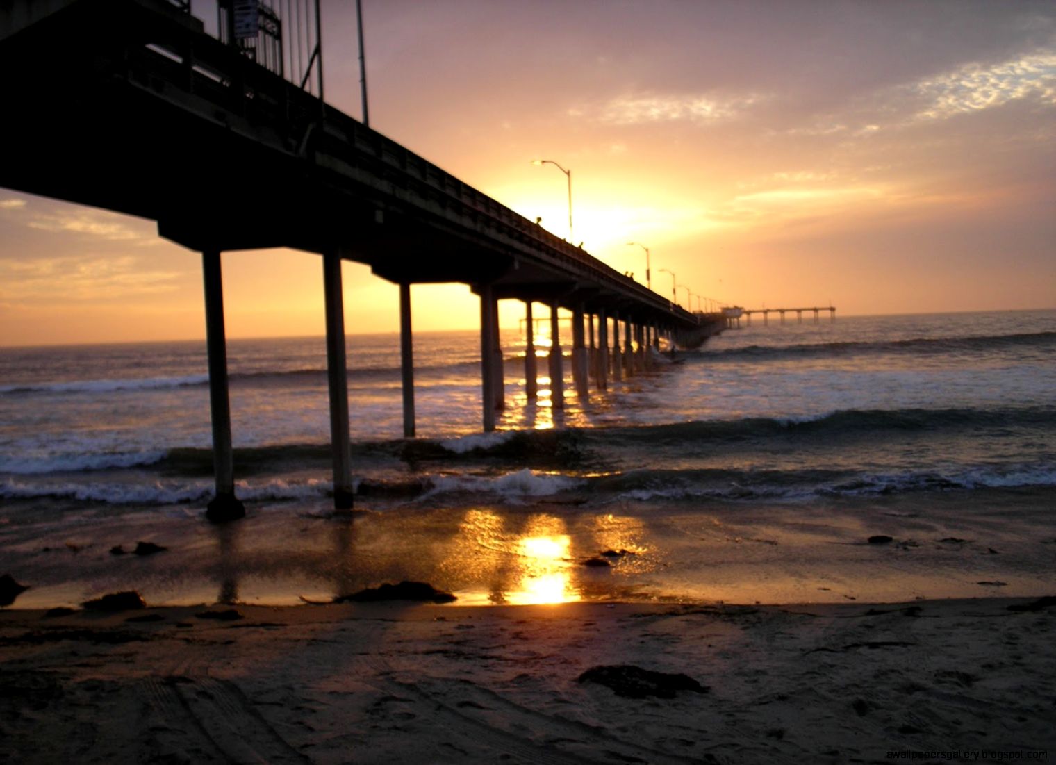 World Visits Seattle Washington ItS Fastest Growing Cities Of World Visits Seattle Washington ItS Fastest Growing Cities Of