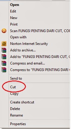 Fungsi Penting Perintah Cut Copy Dan Paste Fungsi Dan Rumus Excel Lengkap