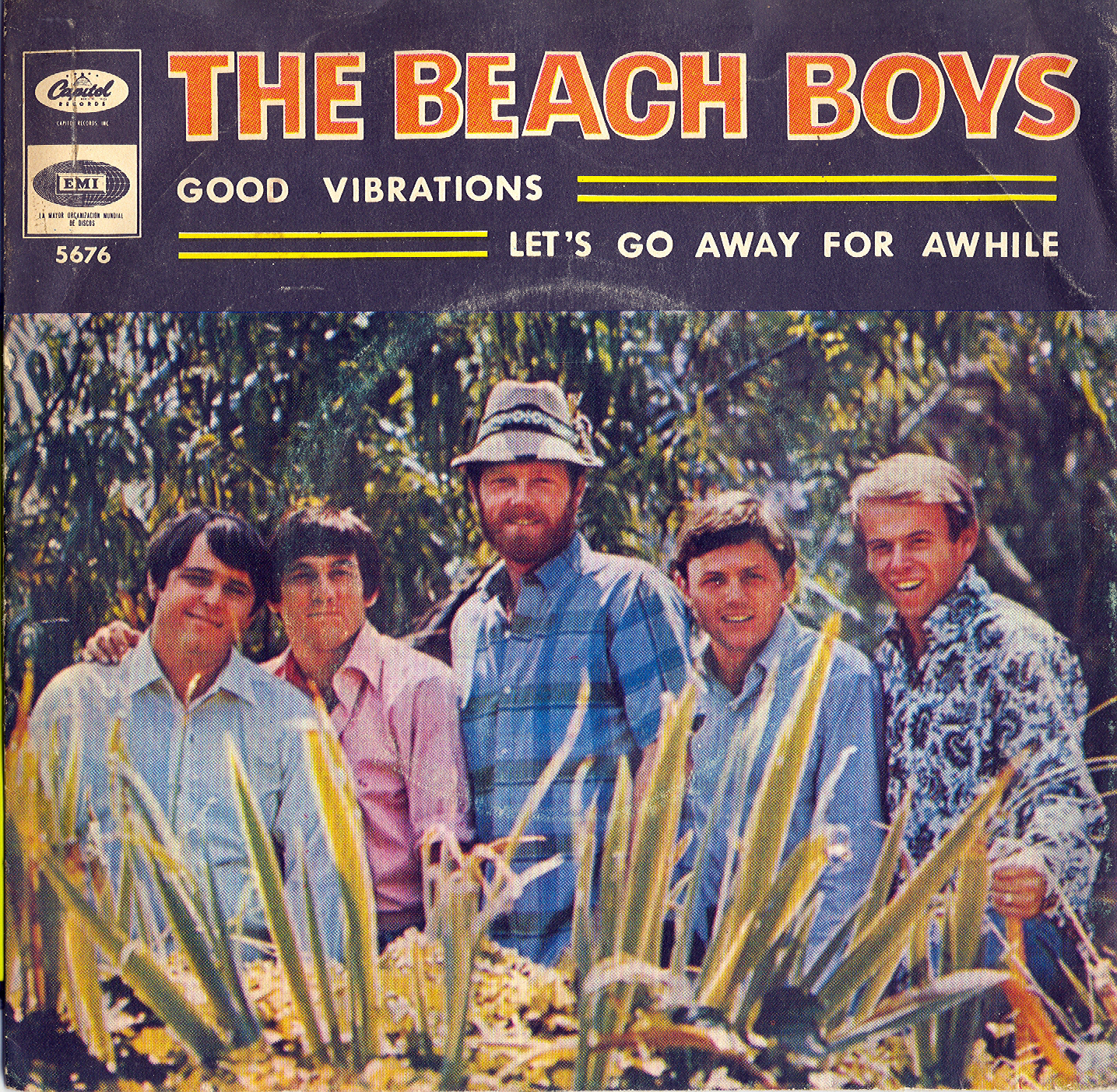 The beach boys -Good vibrations