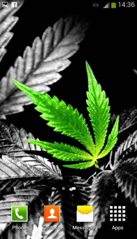 Weed Live Wallpaper APK Download Free Personalization APP for Weed Live Wallpaper APK Download Free Personalization APP for