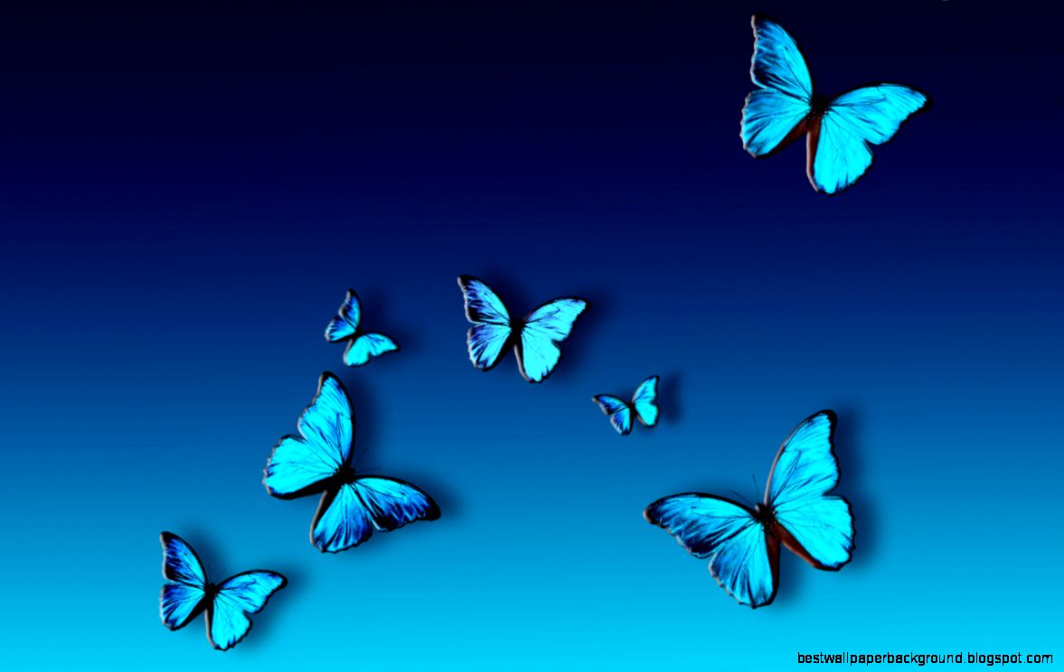 Blue Butterfly wallpaper 1280x800 82405 Blue Butterfly wallpaper 1280x800 82405