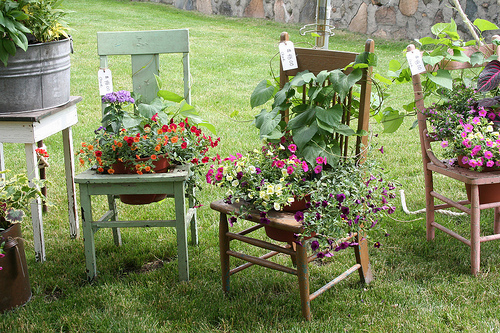 24 ideas para tu jardín
