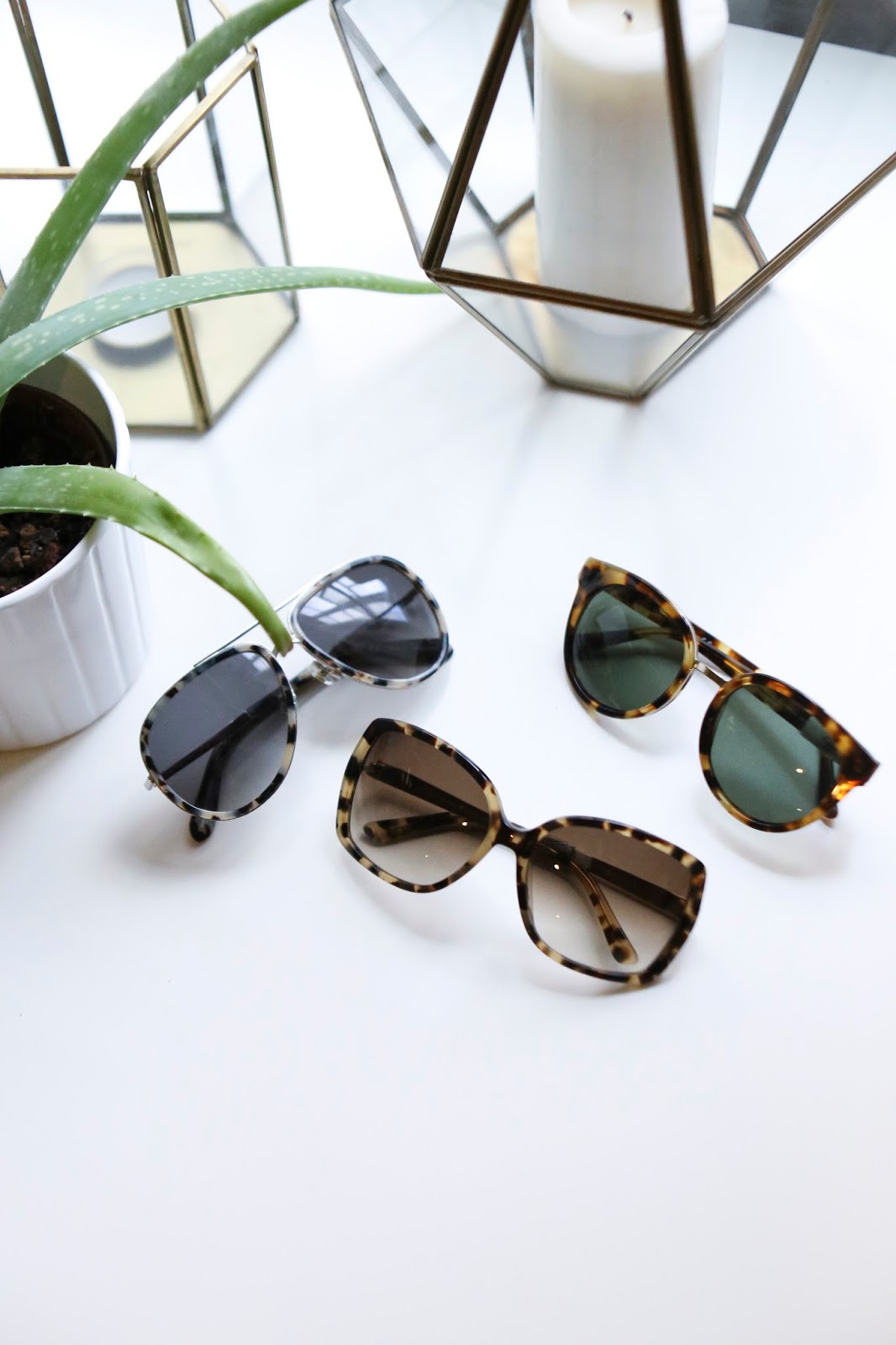 best tortoise shell sunglasses