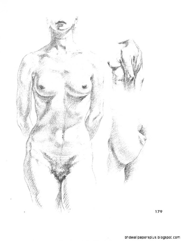 Read Atlas of Human Anatomy for the Artist ebooks online Read Atlas of Human Anatomy for the Artist ebooks online