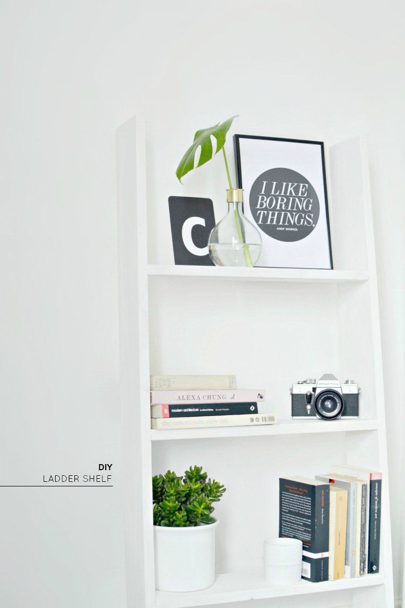 DIY ladder shelf BURKATRON