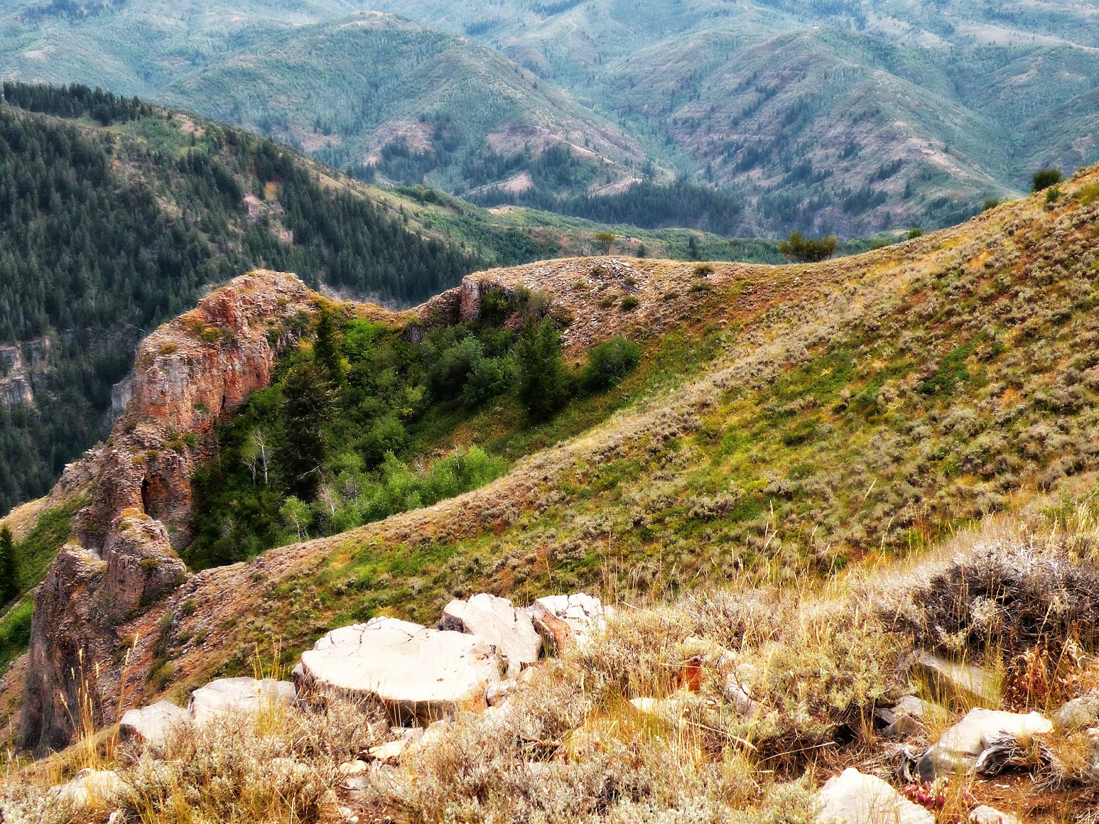 Dream Packer Trail Adventures Monte Cristo, Utah, Lightning Ridge