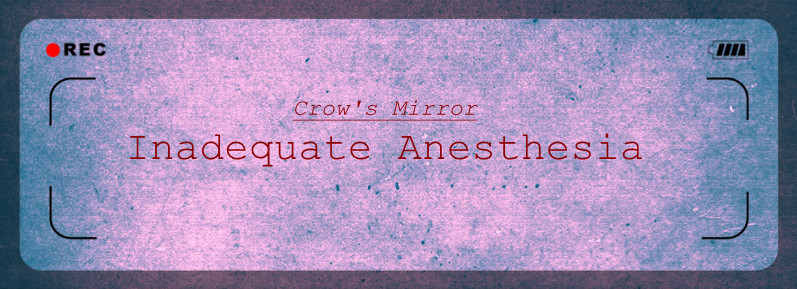 Crow's mirror