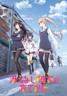 Top 10 Anime Harem Terbaik 2015 Rekomendasi Cibi Anime