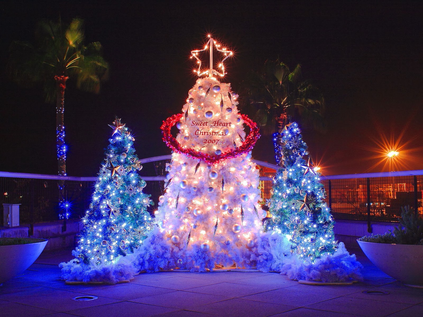Christmas Night Wallpapers in HD | Amazing Pictures