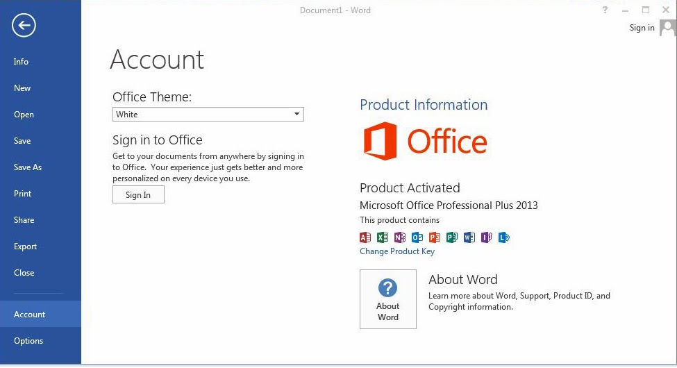 Download Microsoft Office 2013 Professional Plus 2013 32 ...