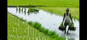 %E0%AE%92%E0%AE%B0%E0%AF%81+%E0%AE%B5%E0