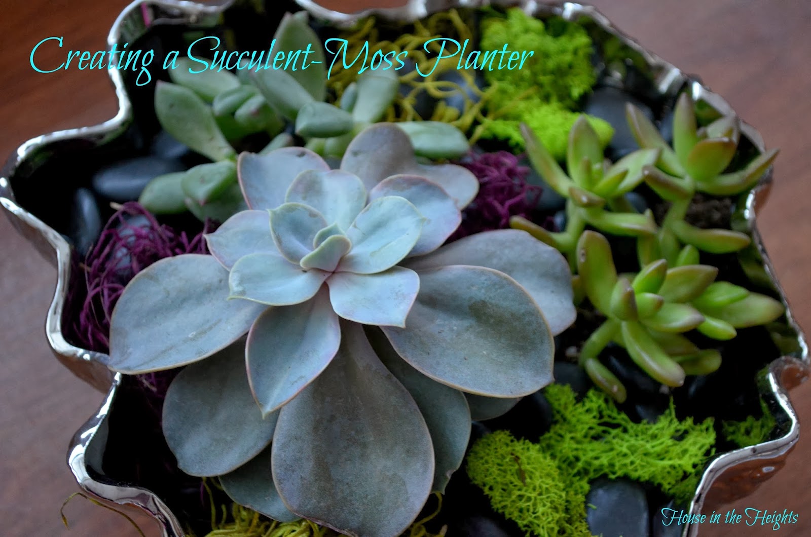 House in the Heights Creating a SucculentMoss Planter