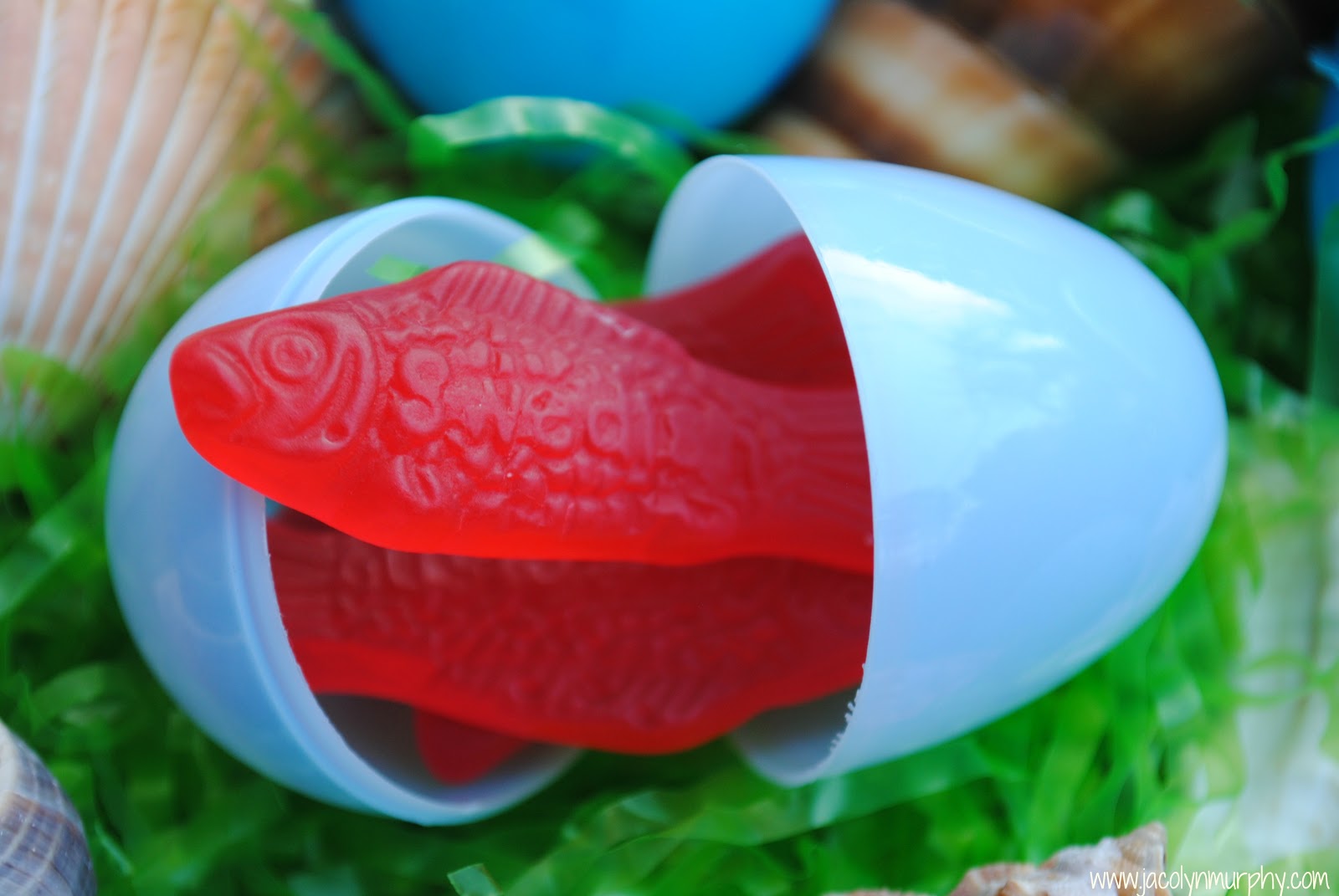 Jac o' lyn Murphy Easter Egg SHELLS