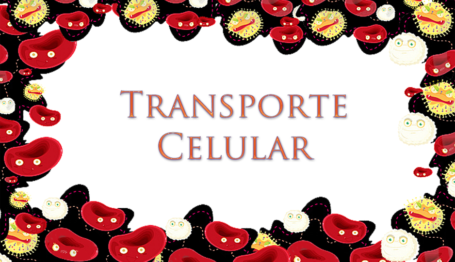 Transporte Celular