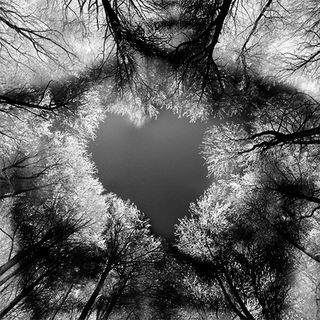 Compare Contrast Essay Papers In Siddharthas Life The Function Of Love Differs Tremendously Throughout His Quest For Enlightenment And These Multiple Ways Love Emerges And The Topics For Essays In English also Good English Essays Examples What Is The Meaning Of Life Whatever You Want It To Be Fahrenheit 451 Essay Thesis
