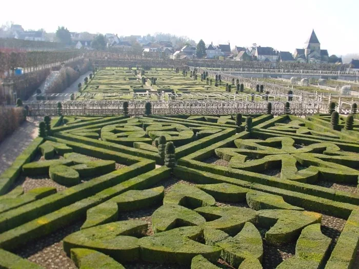 Scultura vegetale | L'arte Topiaria