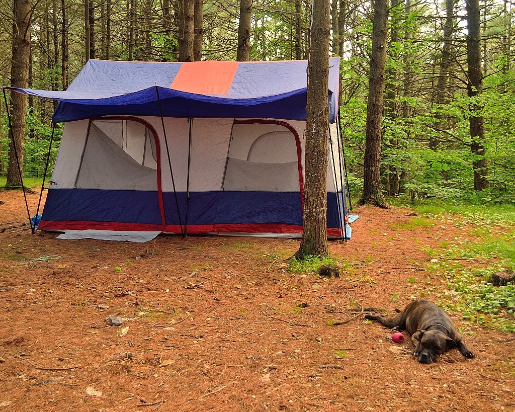 Bleecker Mountain Life Horse Camping In Lake Luzerne, In Photos