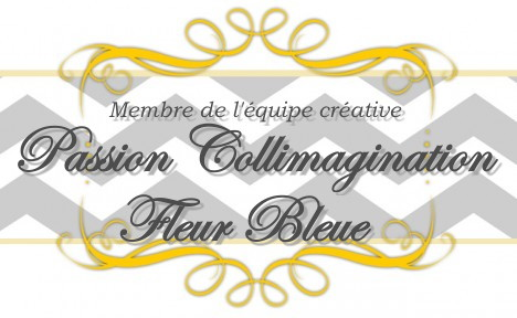 http://www.passioncollimagination.blogspot.ca/