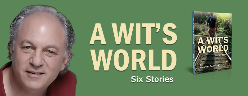 http://www.bookwhirl.com/Publishing/BookStore/title/191/a-wits-world.html