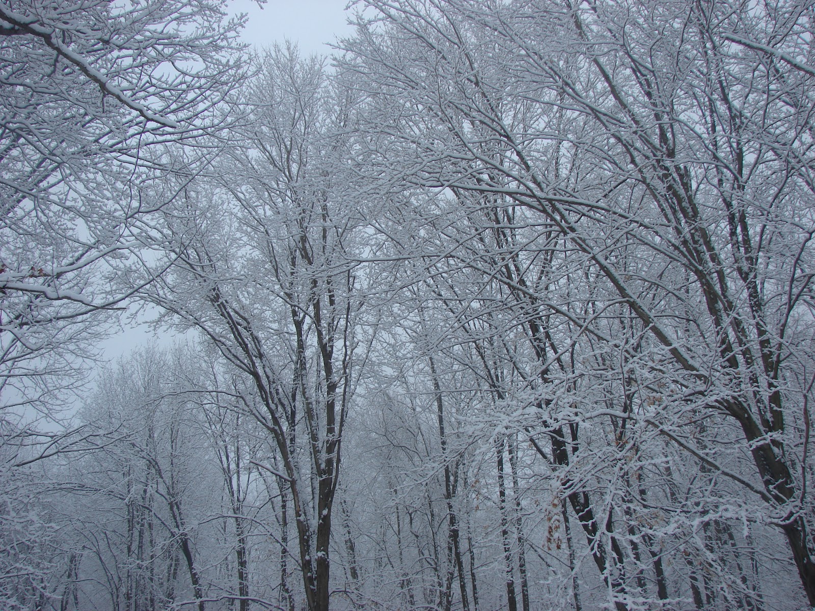 Pymatuning Photo Gallery WINTER ON PYMATUNING LAKE