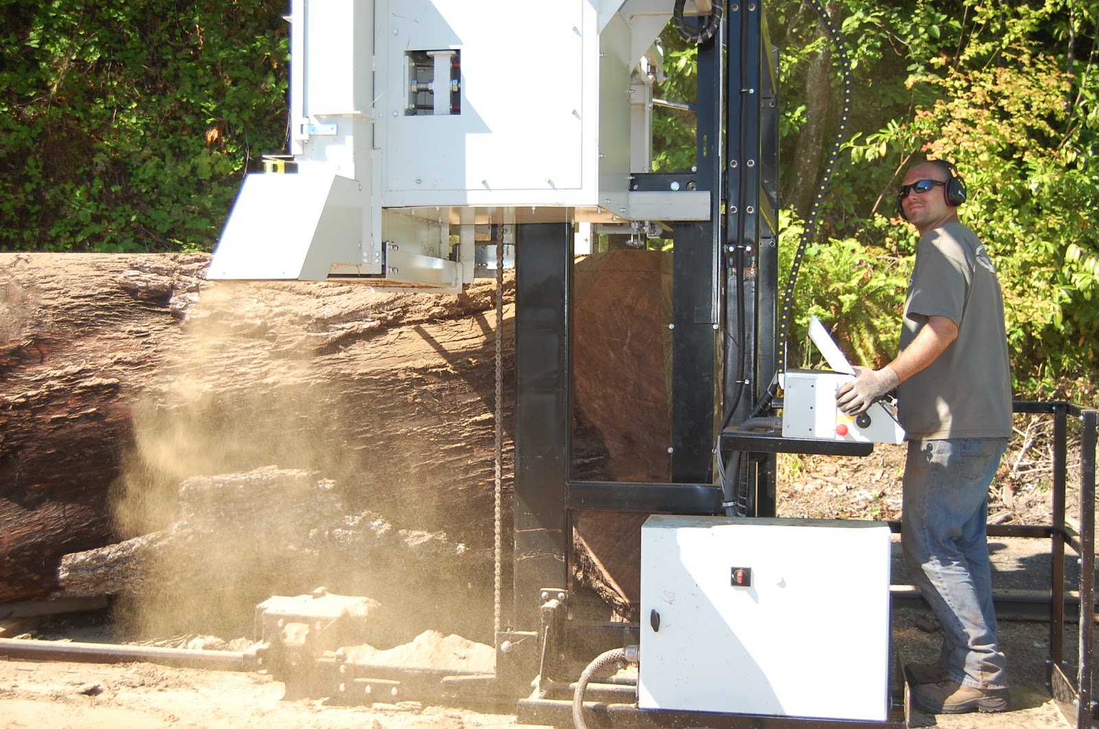 WoodMizer LLC Massive WoodMizer Sawmill provides new Profits for