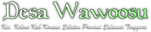 Website Desa Wawoosu