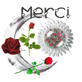 http://3.bp.blogspot.com/-r1dIKd65y9Y/T7a0AvblTiI/AAAAAAAAAKg/_b25vBTMf_I/s320/merci.gif