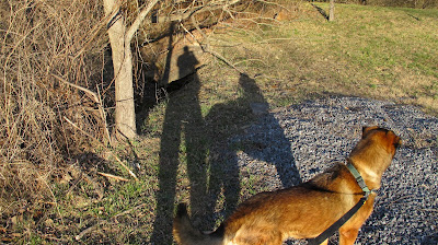 our shadows taller than our soul