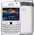BlackBerry Bold 9780 Onyx White User Manual Guide
