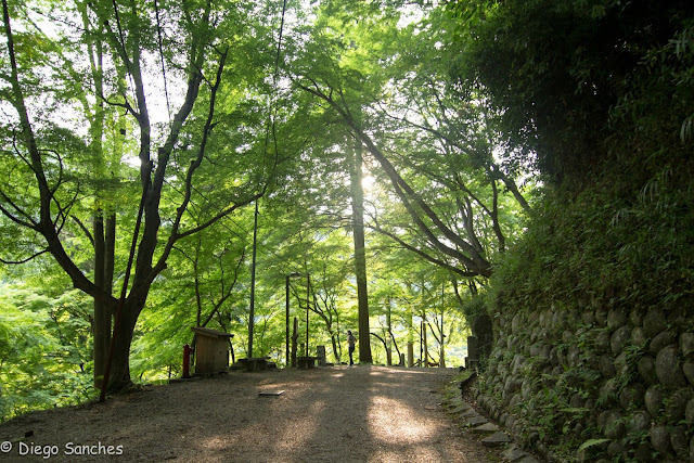 Korankei Park - Toyota Korankei Park em Toyota
