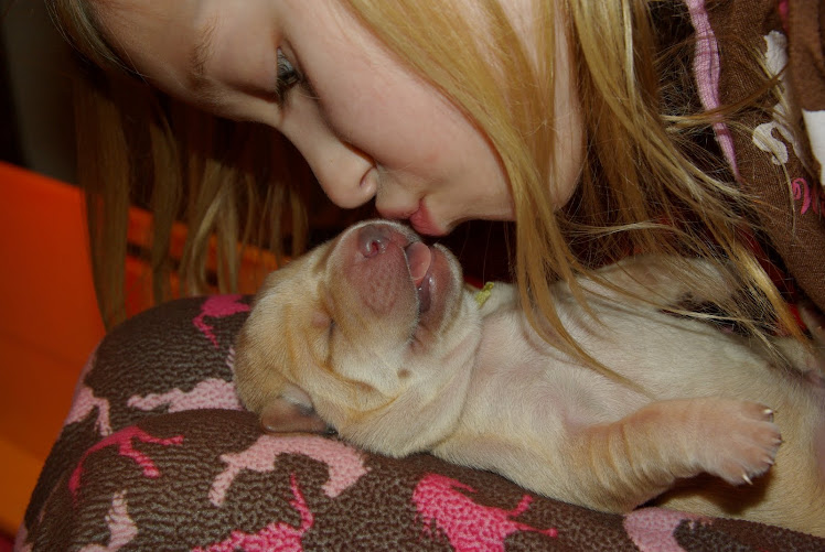 Sweet puppy kisses