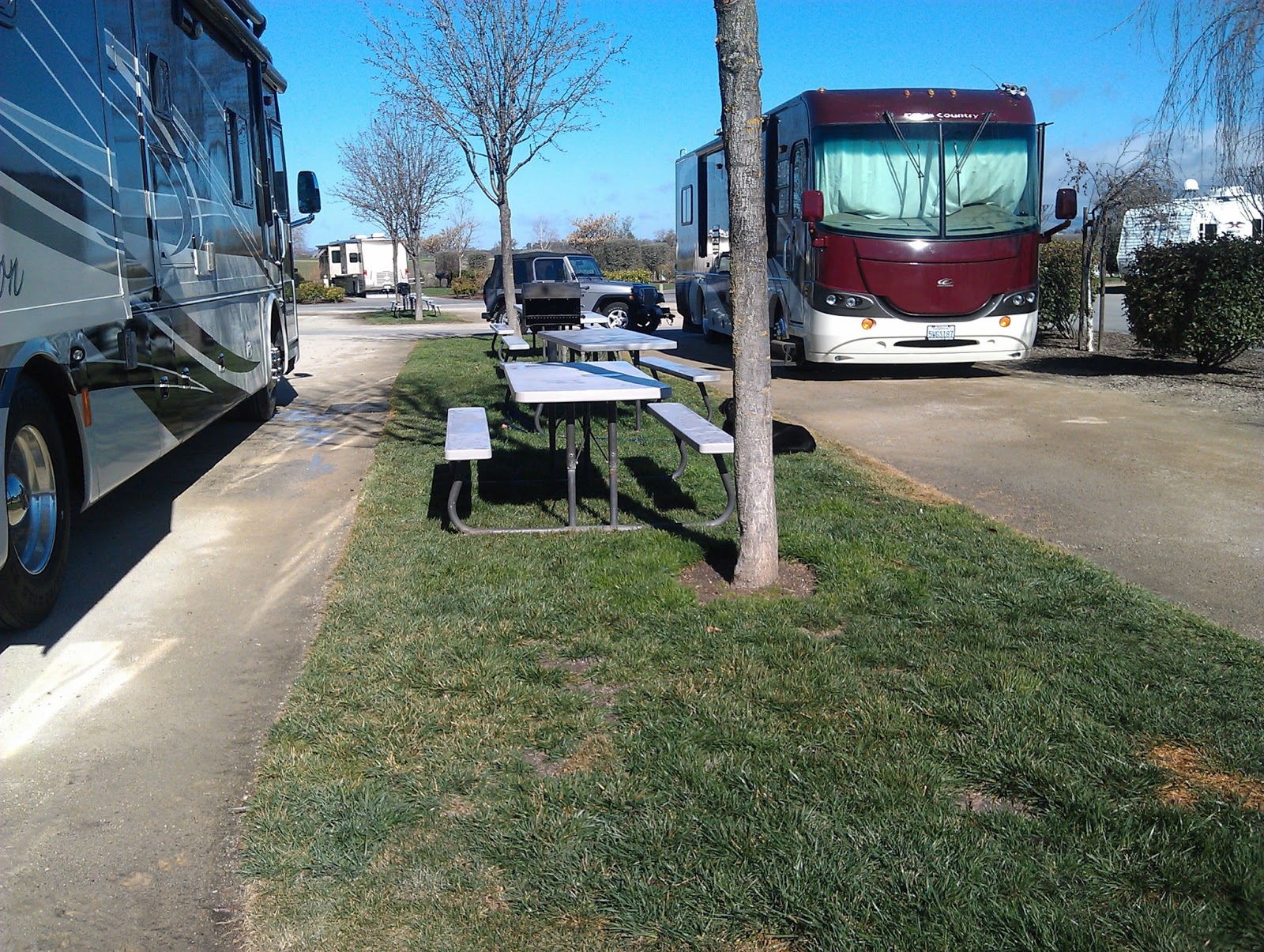 RVAGOGO RV Park Review Wine Country RV Resort (Paso Robles