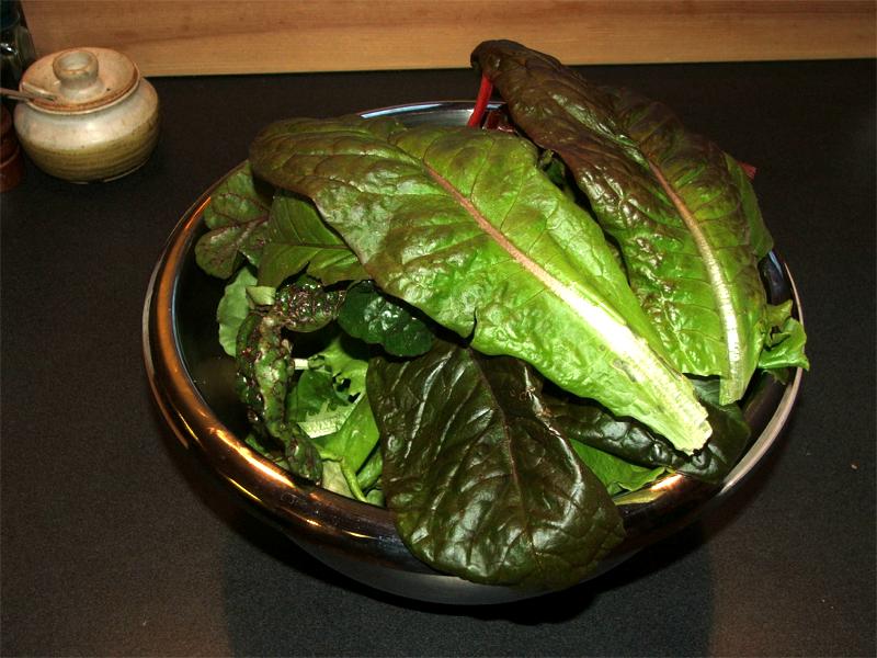 Wasilla Alaska Garden Adventures Springtime in Wasilla