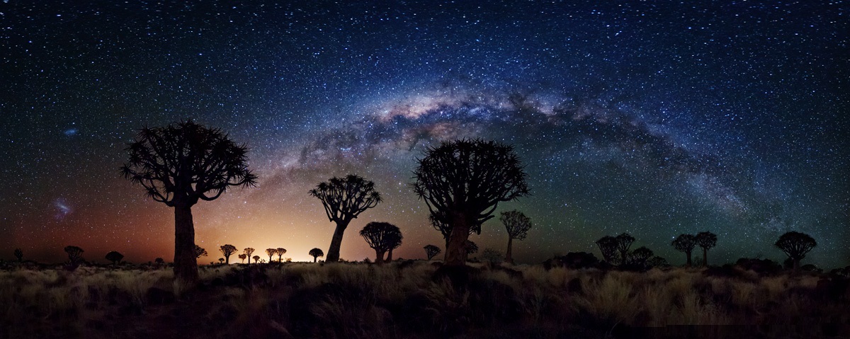 Milky Way Galaxy over Quiver Tree Forest
