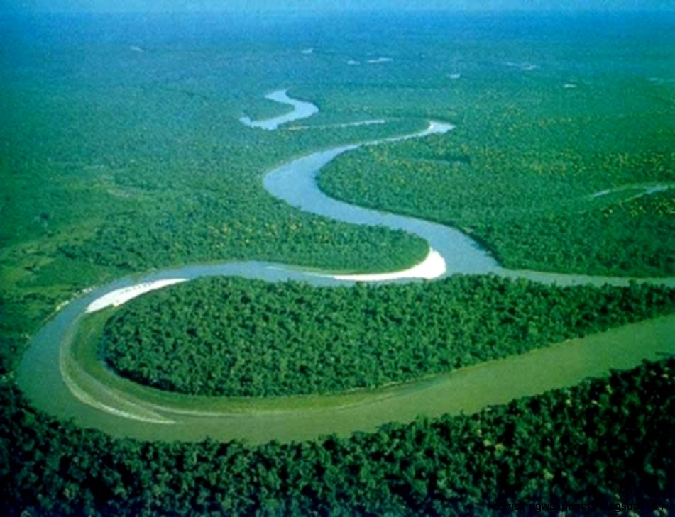 1034x768px Amazon River  297645 1034x768px Amazon River  297645