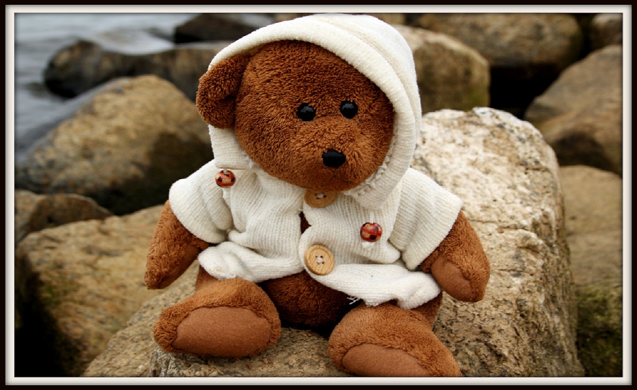 hd wallpapers Teddy Bears ~ Free HD Wallpapers