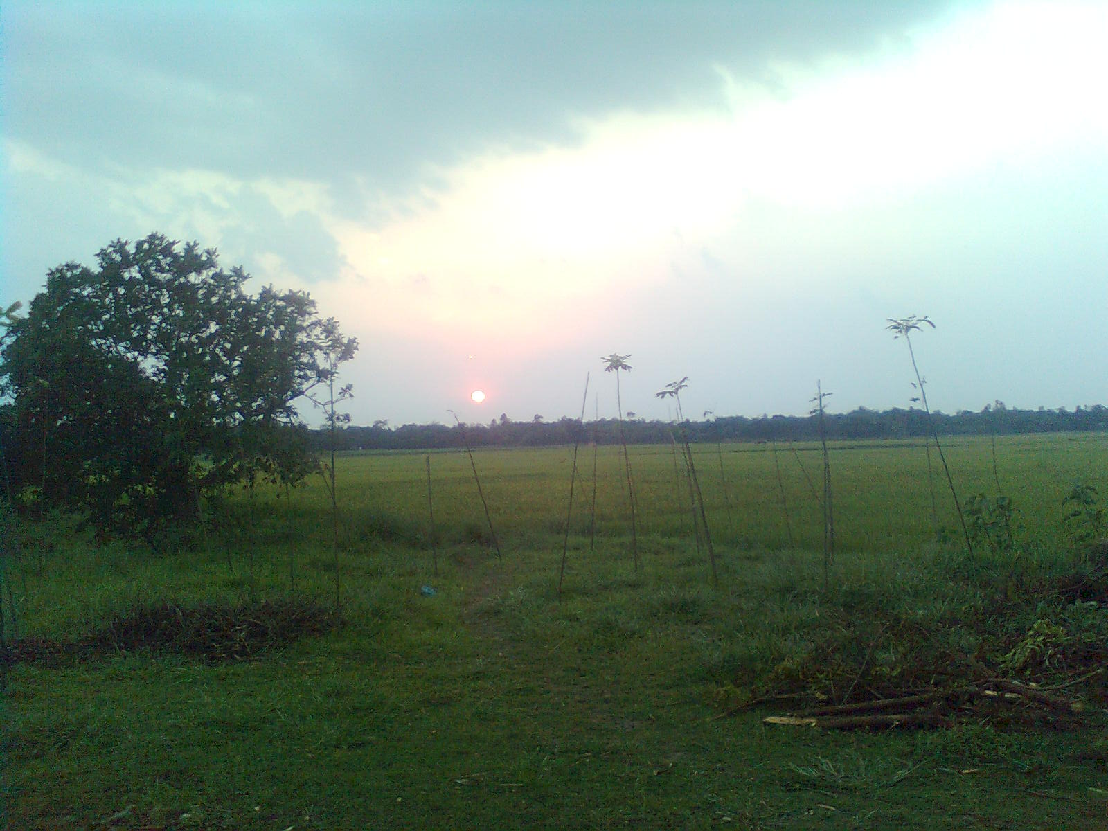 Beautiful Natural Scenery Of Bangladesh Beautiful Natural Scenery Of Bangladesh